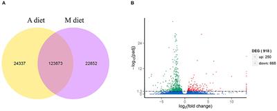 Proteogenomic Study of the Effect of an Improved Mixed Diet of Live Preys on the Aquaculture of Octopus vulgaris Paralarvae